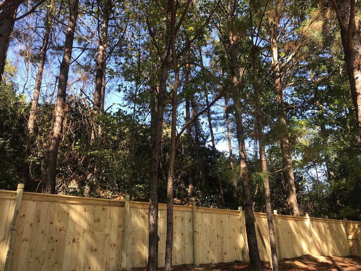 Capped Privacy 2 fence installed by Shelby Fence Company in Alabaster, AL